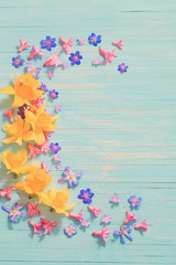 spring flowers on old blue wooden background