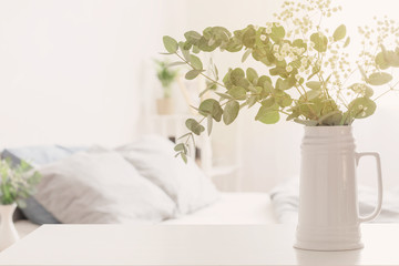 eucalyptus and gypsophila  in jug  in white bedroom