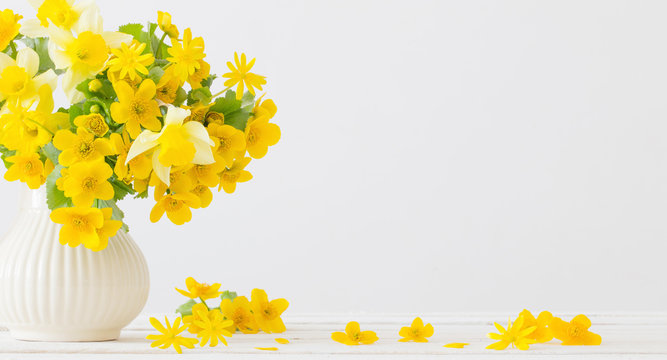 Still life with yellow spring flowers in jug