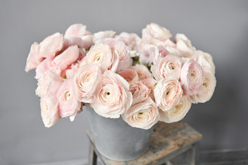 Spring background, flower Wallpaper. Persian buttercup. Bunch pale pink ranunculus flowers on light gray background. Vase on vintage wooden table. Wallpaper