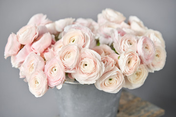 Spring background, flower Wallpaper. Persian buttercup. Bunch pale pink ranunculus flowers on light...