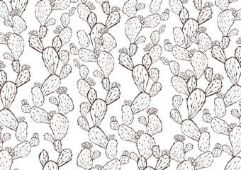 レトロなサボテン柄の背景素材　白　手書きイラスト　メニュー表　植物柄