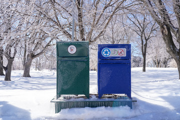 poubelles et recyclage 