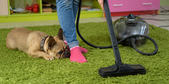 Woman Cleaning Carpet In The Children Room. Carpet Cleaning From Pet Wool