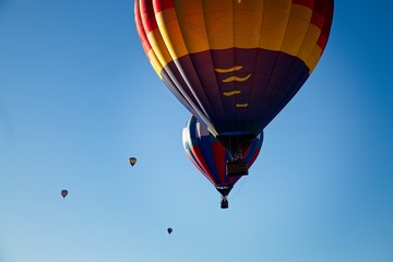 Fototapeta premium The ballon event almost didn't happen. The winds were cancelled most of the weekend and I was busy making alternate plans so my weekend trip wouldn't be a loss. The final morning the day was beautiful