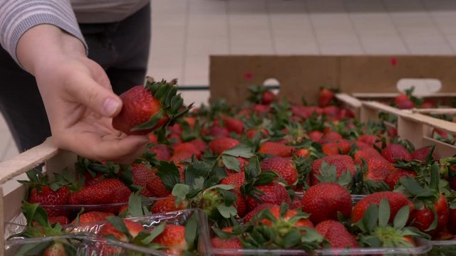 close-up hands of adult woman picking strawberryes in supermarket and puts fruits on knitted mesh made of eco-friendly materials. selective focus