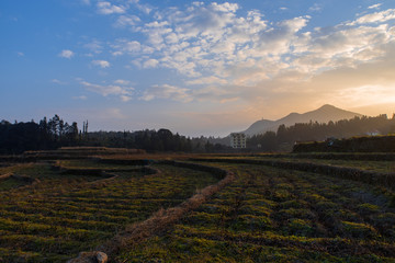 Obraz premium The countryside at dusk, the hazy mountains and the yellow fields