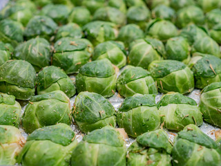 Fototapeta na wymiar Close up shot of many Brussels sprout