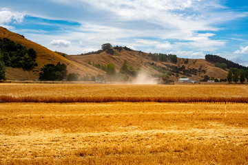 Fototapeta premium Clouds of dust obscuring the harvesting machines on very dry cropland at Harvest time on the farm