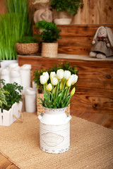 Bouquet White tulips flowers in a basket. interior of spring yard. Rustic terrace. Closeup of flower pots with plants. young plants growing in garden. Spring decoration, tulips in a basket. Easter