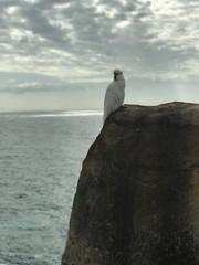 man on the beach