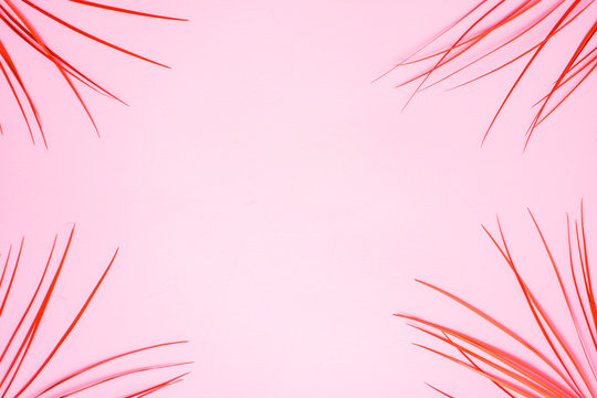 Frame of tropical palm leaves