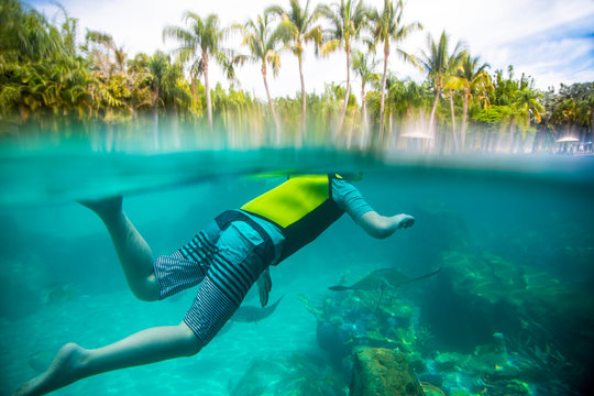 Underwater photo of Child snorkeling at a tropical resort. View from above and below the water level with stingrays swimming under the snorkeler