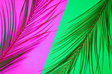 Tropical palm leaves on color background