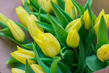 close up of yellow tulips flowers. Spring bouquet wrapped in craft paper for greeting card