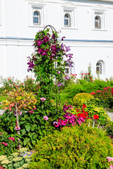 Fototapeta na wymiar Decorative iron arch with purple clematis flowers in a garden