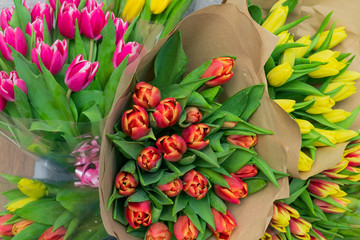 Multicolor blooming tulip flowers for sale in a flower shop. Top view.