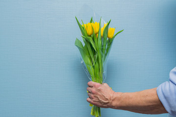 Man hand with yellow tulips bouquet on blue wall background. Springtime. Woman and mother day concept.