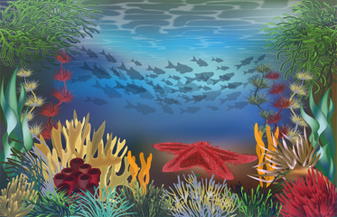Underwater beautiful landscape wallpaper with starfish, vector illustration