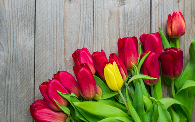 Festive greeting card with bouquet of blooming red tulips. Spring background with copy space.