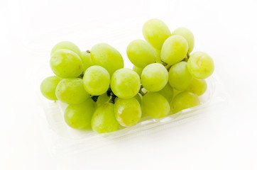 種無しぶどう グリーンシードレスグレープ