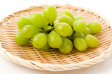 種無しぶどう グリーンシードレスグレープ