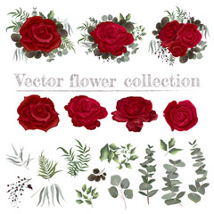 background with roses