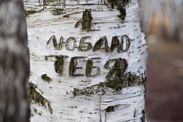 nscription on a tree 