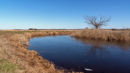 Przedwiośnie w Dolinie Narwi, Podlasie, Polska