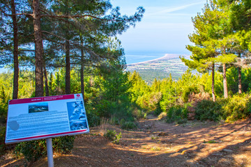 Position Battles on Ariburnu Front. The great Turkish offensive on the Ariburnu front on 19 May 1915