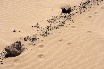 Close up of the Skeleton Coast desert dunes in Namibia with pow prints.