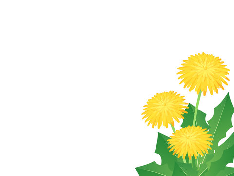 たんぽぽ Images Browse 7 619 Stock Photos Vectors And Video Adobe Stock