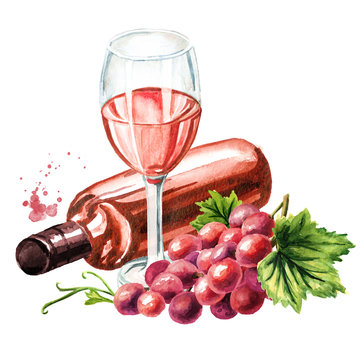Bottle and glass of Rose wine with vine leaves and grape berries. Hand drawn watercolor illustration isolated on white background
