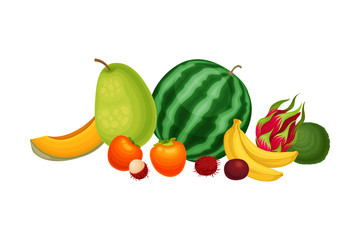 Mixed Exotic Fruits Arrangement or Composition Vector Illustration