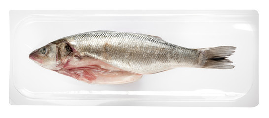 Vacuum packed whole fresh sea bass