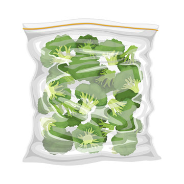 Frozen Broccoli Stored in Plastic Package Vector Illustration