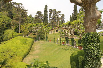 Landscape Greenery on a Hill