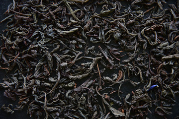 Dried tea leaf on dark background. Tea freshness detail leaves.