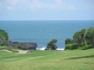 Landscape - Beautiful Green Grassland and Sea