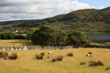 Connemara (Ireland), - July 20, 2016: Connemara landscape, Co. Galway, Ireland