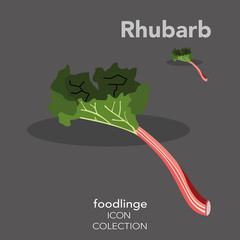 Colorful fruit icon of illustrated Rhubarb.