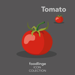 Colorful vegetable icon of illustrated Tomato.