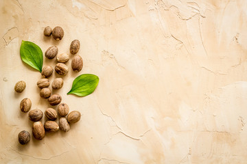 Fototapeta na wymiar Nutmeg - whole nuts near leves - on beige background top-down copy space
