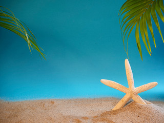 Fototapeta na wymiar Shell and starfish on beach.