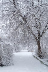 Winter landscape. Snow covered path in a city park