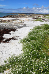 Connemara (Ireland), - July 25, 2016: Beach in Connemara, Co. Galway, Ireland