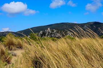 Alberese (GR), Italy - June 10, 2017: The beach in Uccellina Natural Reserve, Alberese, Grosseto, Tuscany, Italy, Europe
