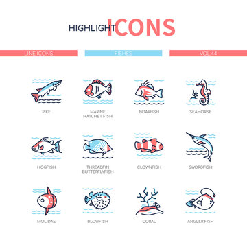 Fish species - modern line design style icons set