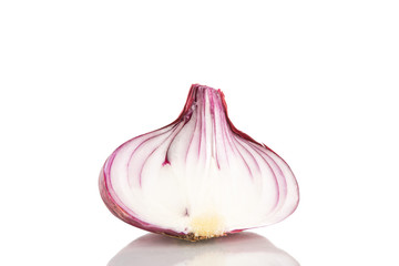Red onion cutout one piece clipping isolated