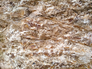 Bright brown stone background. Stone texture and background
